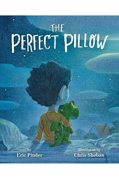 Book Boss الوسادة المثالية