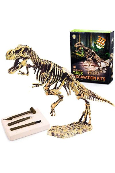 TeTea Jucarie Educationala Tetea, Kit STEM de excavare a fosilelor, dinozaur ...