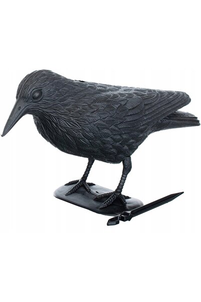 zola Κούκλα για τα περιστέρια, μαύρη, 33x20 cm