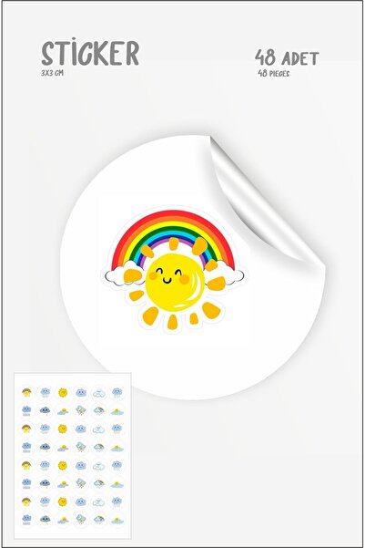 Hsn Weather Sticker Set 48 Pieces 3 cm