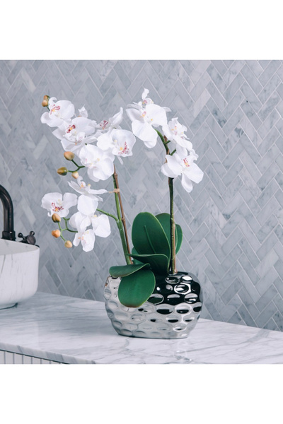 Generic Mystic Orchid in Ceramic Pot - 52 cm