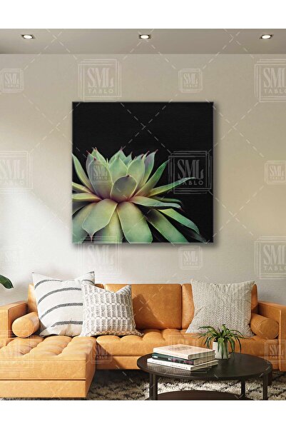 SML TABLO Succulent Flower Cactus Green Plant Square Canvas Painting