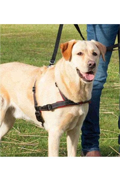 Trixie سرج تدريب ناعم أسود للكلاب من ليد آند ووك، مقاس متوسط ​​وكبير