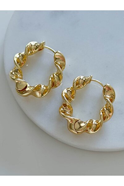 CHARMLUCKY Special Series Curved Hoop Earrings