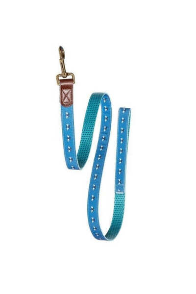 Danish Design طوق كلاب فات فيس سبوتلي بيز أزرق/2.5 سم كبير