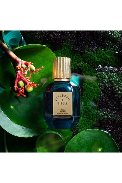 Astrophil Stella Nabati Perfume 50مل بسعر Astrovil