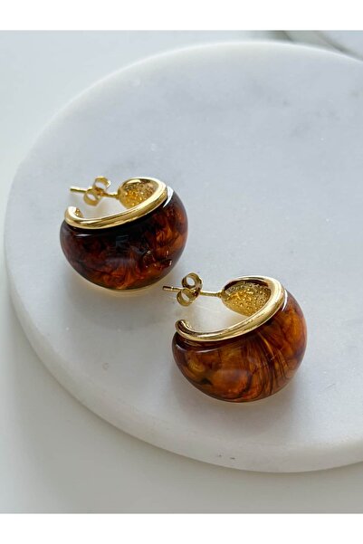 CHARMLUCKY Steel Brown Hoop Earrings