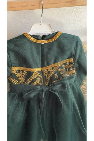 La reina petite A traditional green embroidered dress with a tulle shawl by Larina Petite