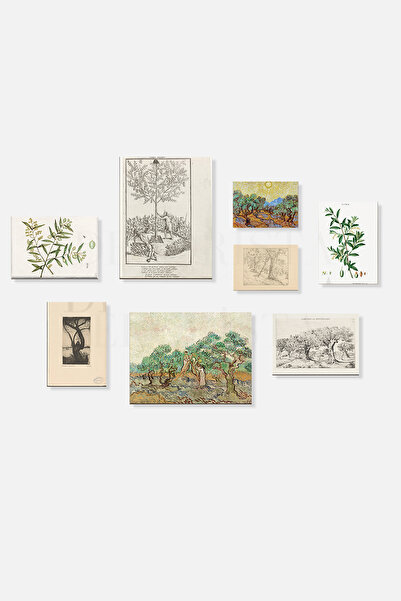HOME DEKORİSTA Çerçevesiz 8'li Poster Seti, Vintage Resim, Zeytin ağacı Tablo...
