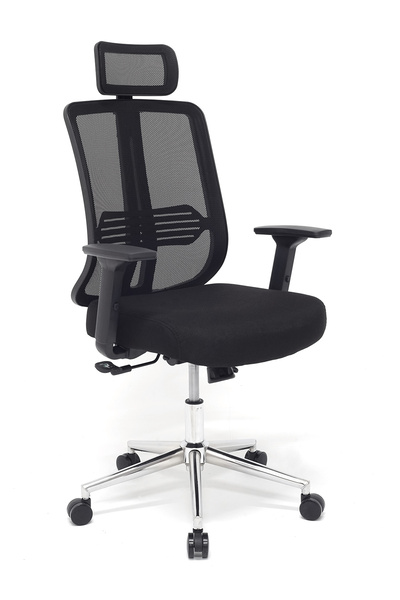 furnira Pronova Black Krom Ergonomik Ofis Sandalyesi | Bel Destekli Fileli Ça...
