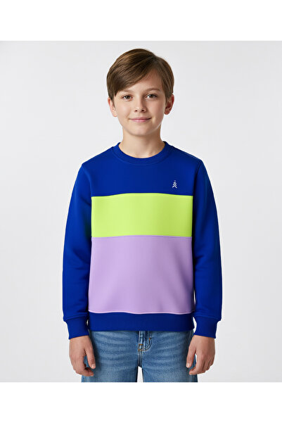 Pine kids Cotton Knit Full Sleeves Solid Sweatshirt - Purple & Blue