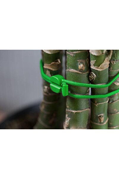 blueLounge Medium Pixi Multi Purpose Binders for Cable - Green/Black