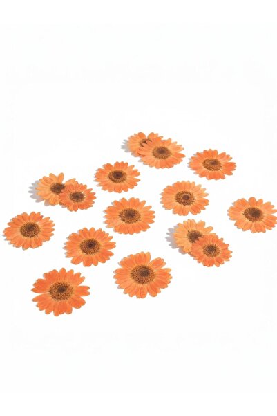 stonechem Preslenmiş Kurutulmuş Turuncu Papatya Epoksi Reçine Kolye Takı Yapı...