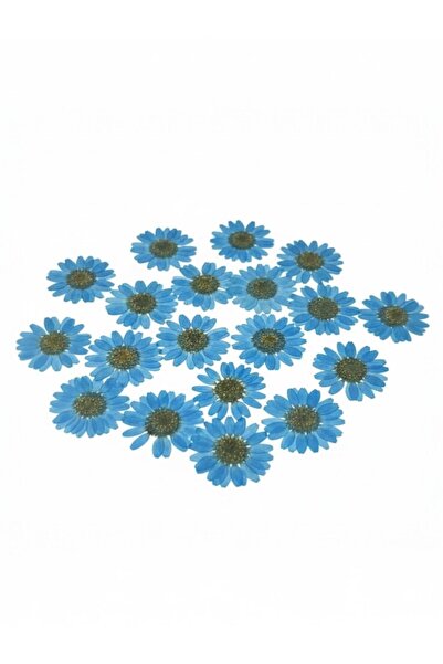 stonechem Preslenmiş Kurutulmuş Mavi Papatya Epoksi Reçine Kolye Takı Yapımı ...