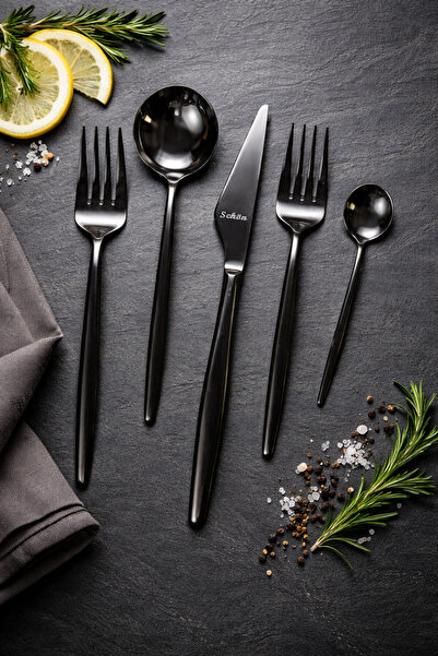 Schon طقم أدوات مائدة من التيتانيوم المقاوم للصدأ مكون من 36 قطعة لـ 6 أشخاص