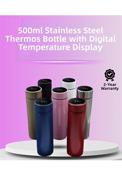 CT STONES 250ml Stainless Steel Smart Thermos with Led Display