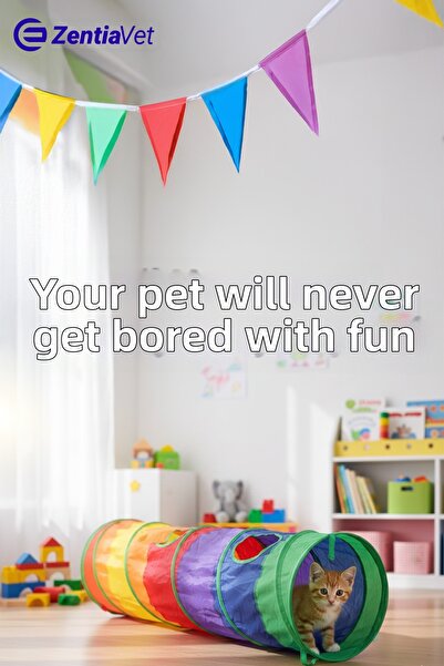 zentiavet Straight Cat Tunnel Folding Rainbow Long Straight Cat Dog Play Tunn...