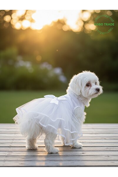 Gobo فستان زفاف بتصميم أنيق وفستان حفلات لعيد الميلاد للقطط والكلاب مقاس كبير...
