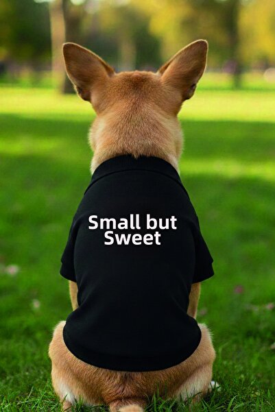 Advantage Tiny but Sweet Cat Dog Outfit Tank Top Black Funny Fun Printed Cat ...