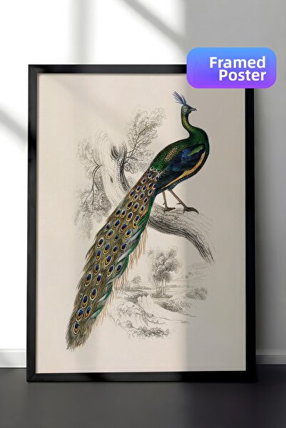 Postifull Pictură înrămată cu portret de păun, cadru negru și poster, pictură...