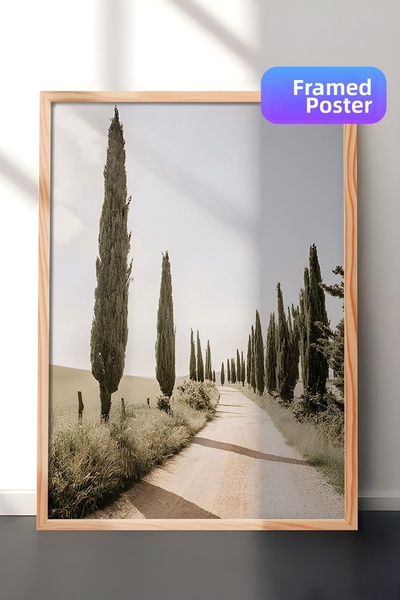 Postifull Pictură înrămată Cypress Tree Alley, cadru din lemn și poster, pict...