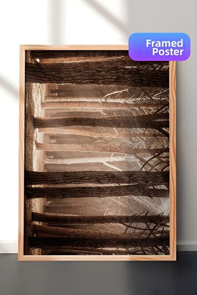 Postifull Tablou înrămat cu lumina soarelui din pădurea magică, pictură orizo...