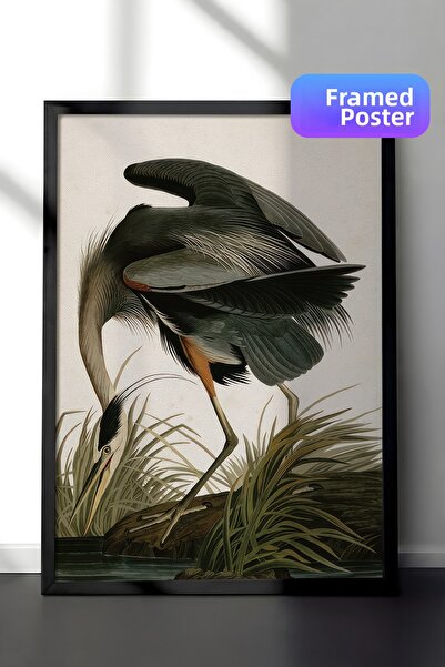 Postifull Pictură înrămată Great Heron, cadru negru și poster, pictură vertic...