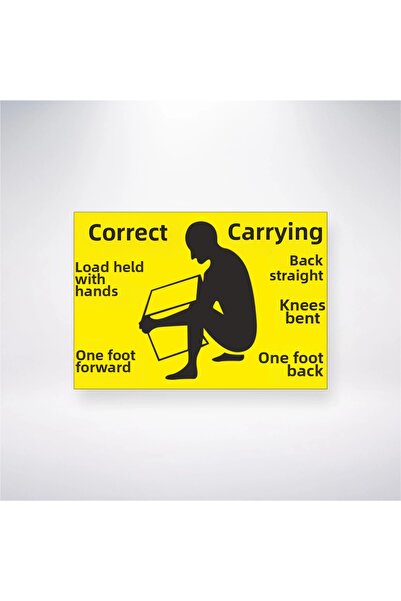 Reysa Tasarım ملصق لاصق خلفي لاصق مقاس 21 × 35 للنقل الصحيح