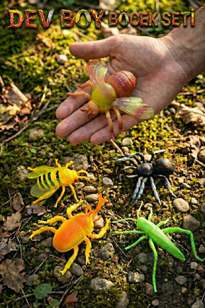 TUENGİ STORE 5'li Dev Boy Gerçekçi Oyuncak Böcek Seti (10-14 cm) - Eğitici De...