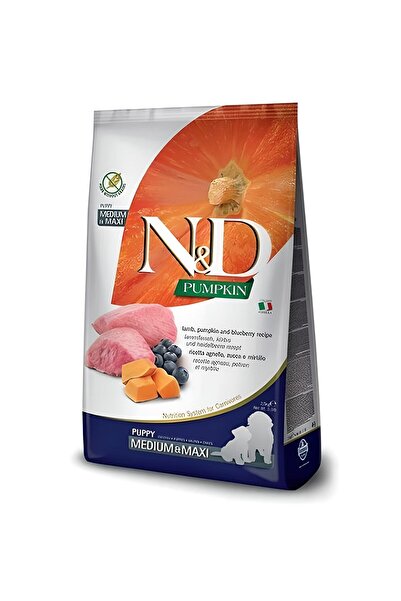 N&D 2.5 كجم من سمك اليقطين المتوسط والكبير، لحم الضأن، التوت، طعام الجرو الخا...