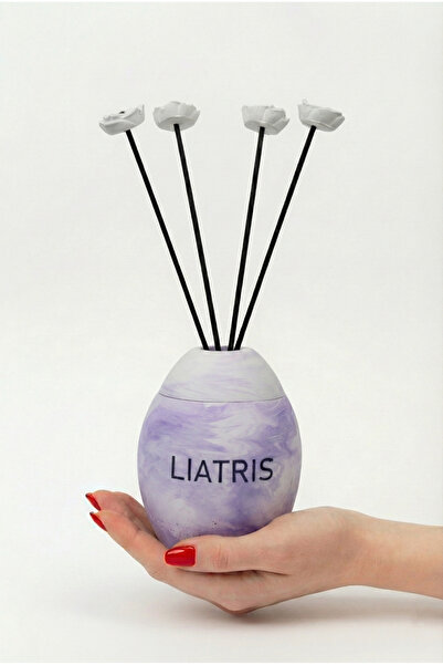 liatris MOR-NEPTÜN ÇUBUKLU ODA KOKUSU 100 ML