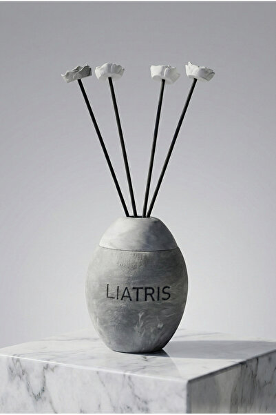 liatris GRİ-PLUTO ÇUBUKLU ODA KOKUSU 100 ML