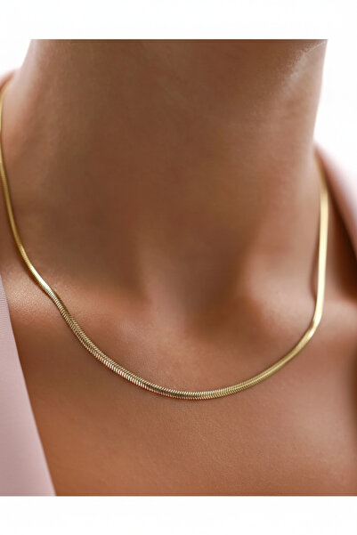 Ricco Jewellery 14 K Gold Kaplama 925 Ayar Gümüş Balık Sırtı Choker Kolye