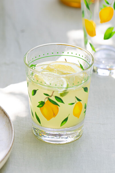 Rakle Set of 4 Basement Water Glasses - 275 Cc