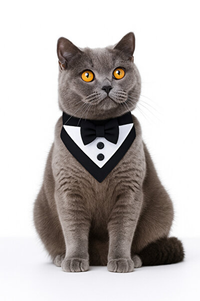 Minikpaw aksesuar Smokin Fular