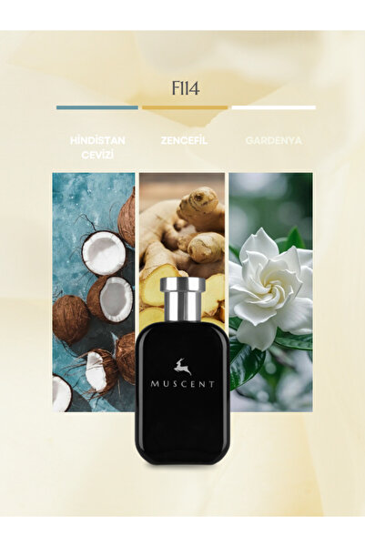 MUSCENT F114 Cristal Noir 50 ml.