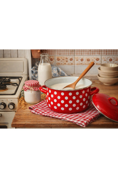 EBRULİEMAYE Red Polka Dot Enamel Pot 5-Liter 24 cm Diameter Milk Yogurt Soup Pot