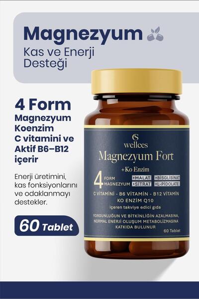 WELLCES MAGNEZYUM FORT 60 TABLET