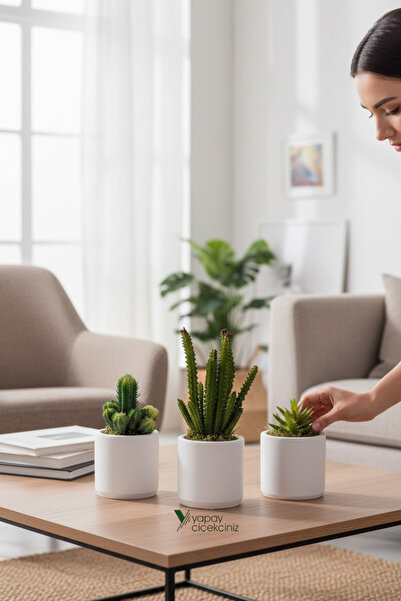 YAPAY ÇİÇEKÇİNİZ مجموعة الصبار في وعاء خرساني