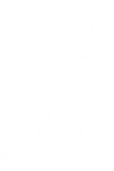 niyazi سكوتر كهربائي للكبار قابل للطي