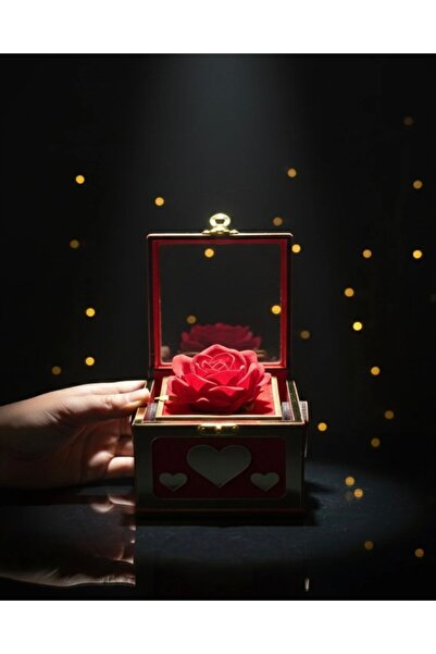 aromahediye Lotus Çiçeği Kolye – Güllü Sonsuz Çevirmeli Kutusu | Özel Tasarım...