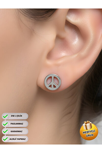 Piercing Market Steel & Silver Çelik Çivili 1 Çift Hediyelik Küpe Kararma Sol...