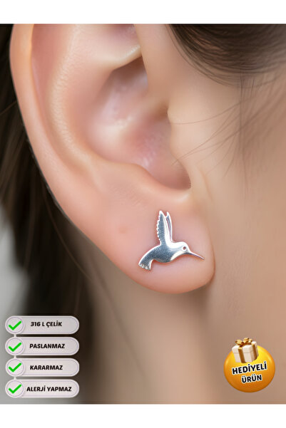 Piercing Market Steel & Silver زوج واحد من الأقراط المقاومة للبهتان والتشويه ...