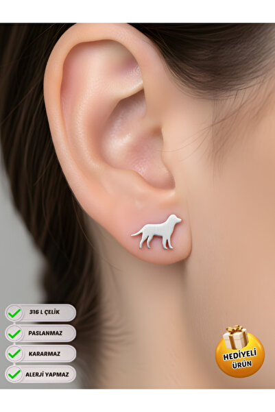 Piercing Market Steel & Silver Çelik Çivili 1 Çift Hediyelik Küpe Kararma Sol...