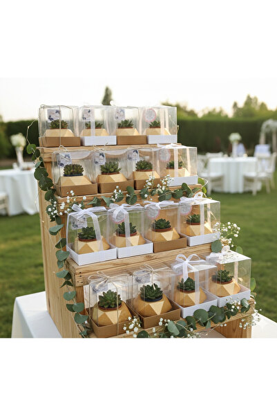 ORGANİZASYON HEDİYEM 10 Adet Asetad Kutulu Doğum-doğum Günü-baby Shower-40 Uç...