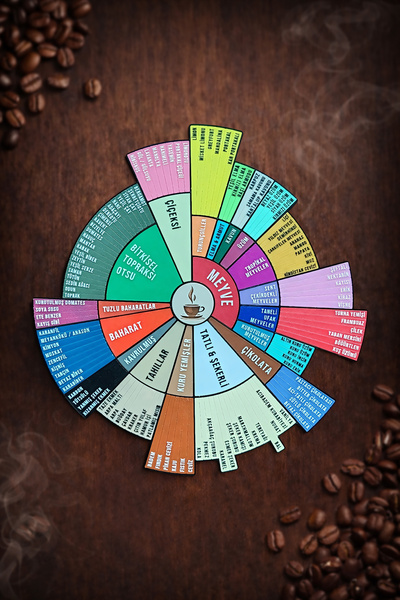 Saes Labs Kahve Tadım Çarkı Magnet - Türkçe