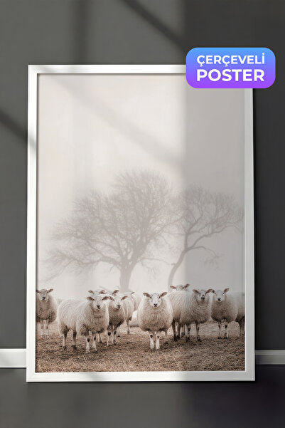 Postifull Slika uokvirena sa jatom ovaca, beli okvir i poster, zidna slika se...