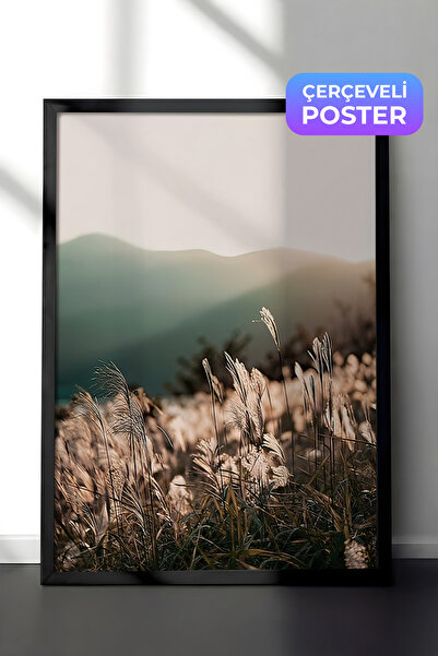 Postifull Картина «Сонячне світло на траві» в рамці, чорна рамка і постер, на...