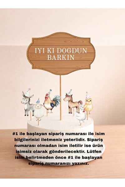 Sinem Gift Çiftlik Hayvanları Doğum Günü Konsepti - Çiftlik Hayvanları Pasta ...