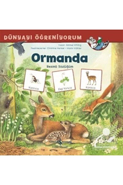 TÜRKİYE İŞ BANKASI KÜLTÜR YAYINLARI Ormanda Resimli Sözlüğüm / Dünyayı Öğreni...